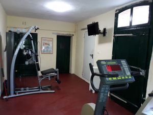 Ferienwohnungen-Hofmann - Melkkammer, Spinningbike, Rückenpresse, Raum, Wohlfühlen in Ostfrieslnad, Friesland, Urlaub auf dem Land, Urlaub in Friesland